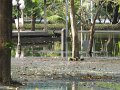 IMG_8898