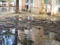 IMG_8900
