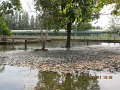 IMG_8903