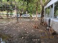 IMG_8905