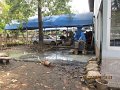 IMG_8906