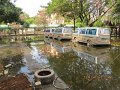 IMG_8909