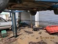 IMG_8911