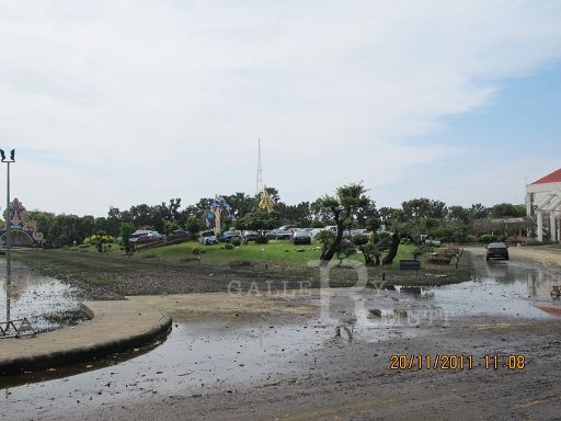 IMG_8955.jpg