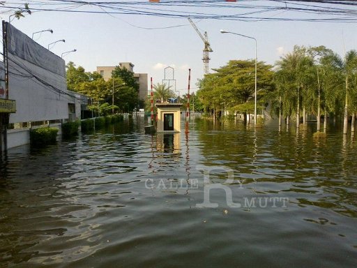november-1-2011-natee-purod-25_002.jpg