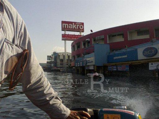 november-1-2011-natee-purod-80_002.jpg