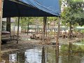 IMG_8916