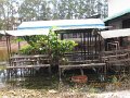 IMG_8920