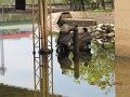 IMG_8931