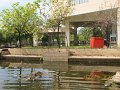 IMG_8934