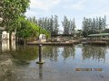 IMG_8943