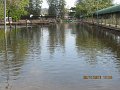 IMG_8947