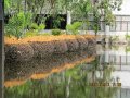 IMG_8950