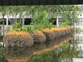 IMG_8951