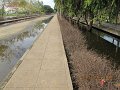 IMG_8953