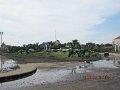 IMG_8955
