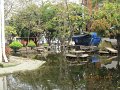 IMG_8959