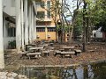 IMG_8960