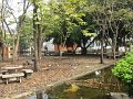 IMG_8961