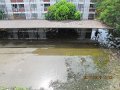 IMG_8970