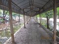 IMG_8978