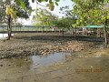 IMG_9000
