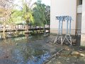 IMG_9001