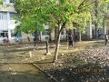 IMG_9005