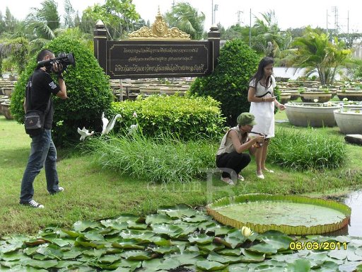 SDC15007.JPG