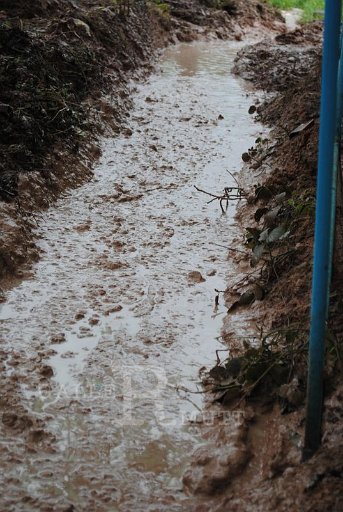 DSC_0334.JPG