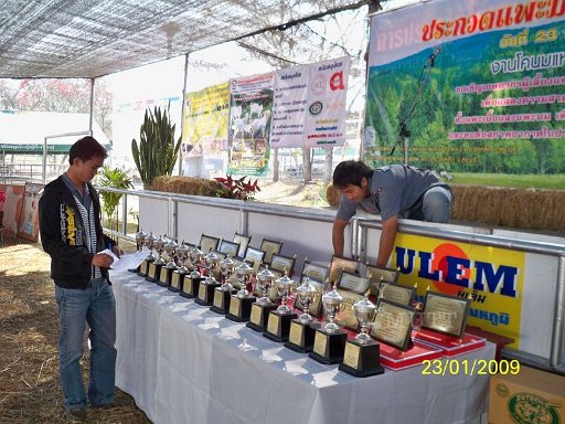 100_1547.JPG