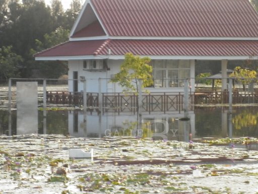 P1000463.JPG