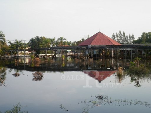P1000464.JPG