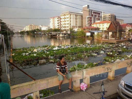 P1000494.JPG