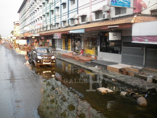 P1000524.JPG