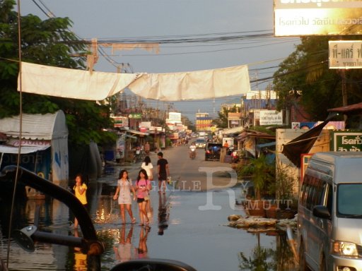 P1000527.JPG