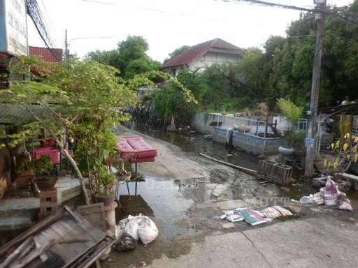 P1000530.JPG