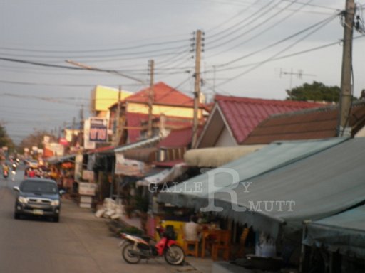 P1000542.JPG