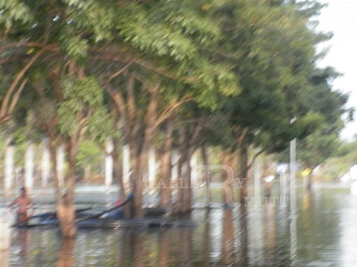 P1000554.JPG