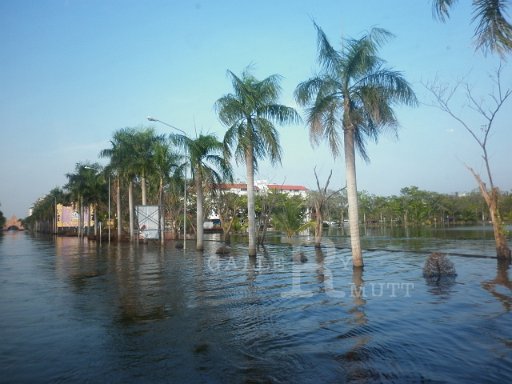 P1000563.JPG