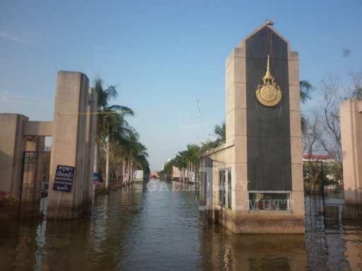 P1000565.JPG