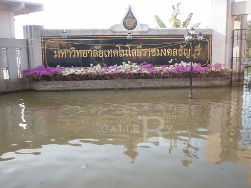 P1000568.JPG