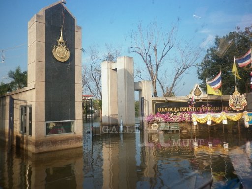 P1000570.JPG