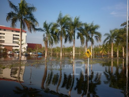 P1000581.JPG