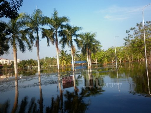 P1000583.JPG