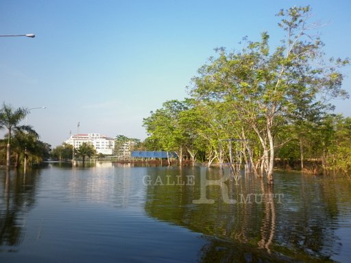 P1000585.JPG