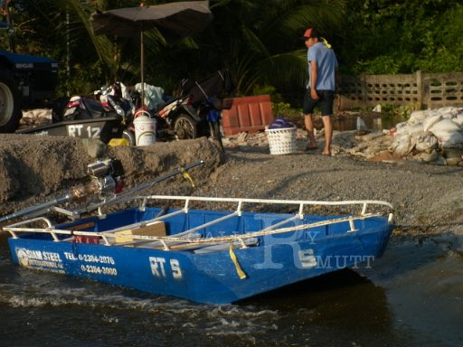 P1000587.JPG