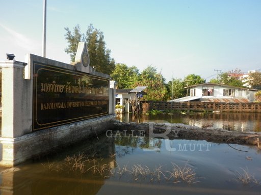 P1000589.JPG