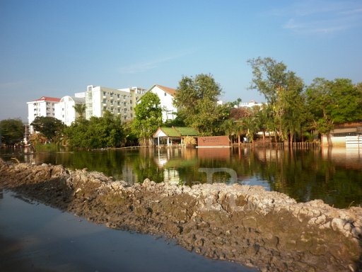 P1000594.JPG
