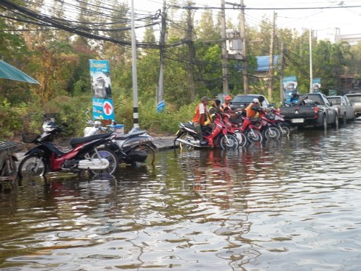 P1000599.JPG